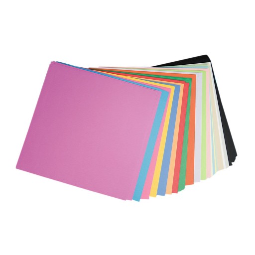 Pacon Card Stock Scrapbook Pages, 12 x 12, 160/Pack, Assorted