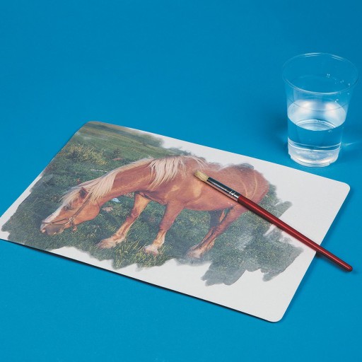 Buy S&S® Aquapaintings™ Animals & Nature (Pack of 12) at S&S Worldwide