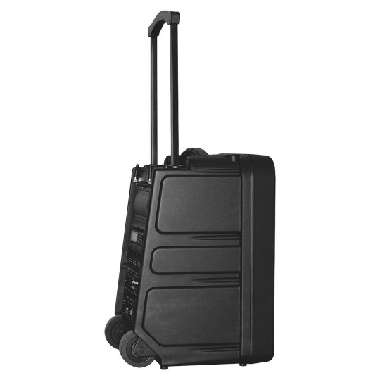 Buy Portable PA System with Microphones at S&S Worldwide