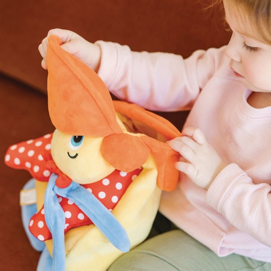 Hungry Pelican Learning Toy