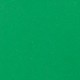 Holiday Green