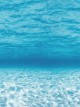 Under The Sea