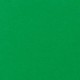 Holiday Green