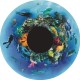 Under The Sea