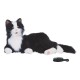 Tuxedo