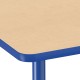 Maple/Blue